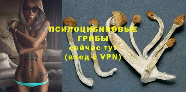 дживик Алексеевка