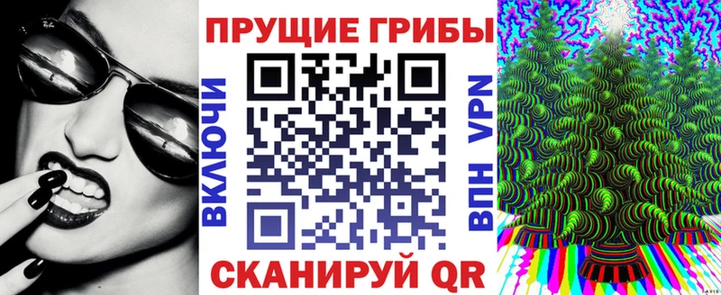 Псилоцибиновые грибы Cubensis Уфа